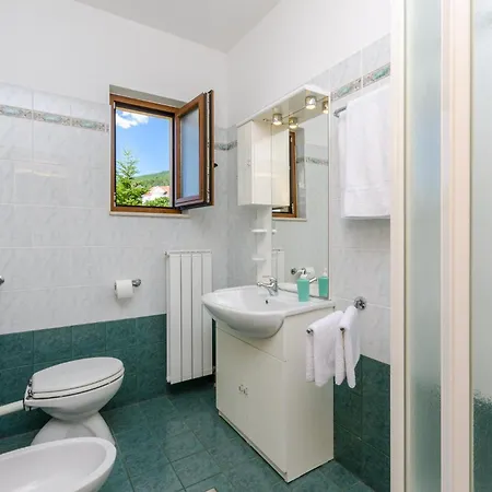 Apartment Andelko *